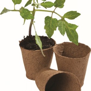 Fibre Pots Round 6cm x24